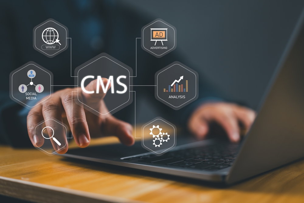 website management in bellport