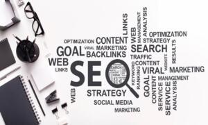 Local SEO Services in bayshore